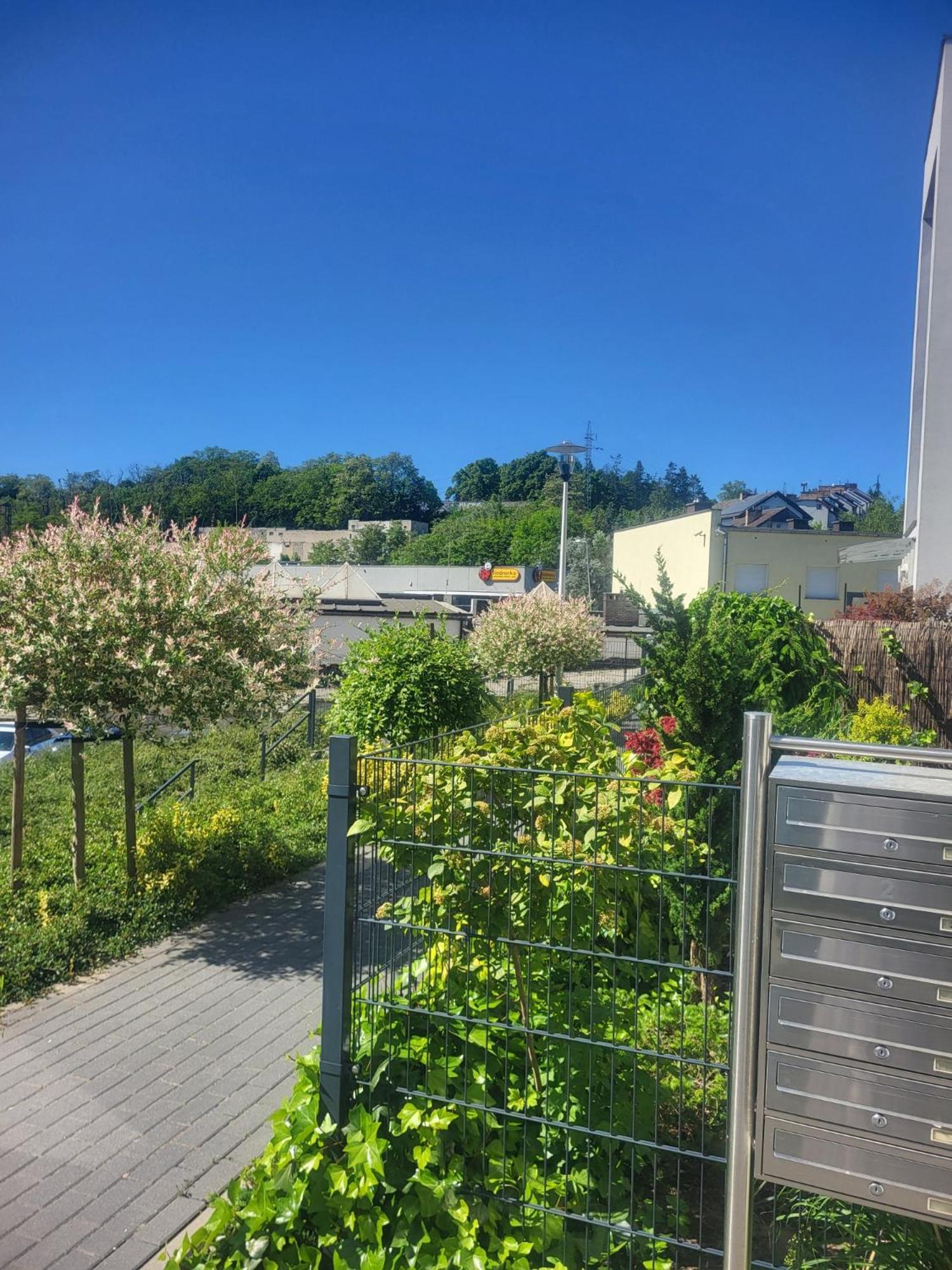 Apartamenty Olimpijska Gorzów Wielkopolski Εξωτερικό φωτογραφία